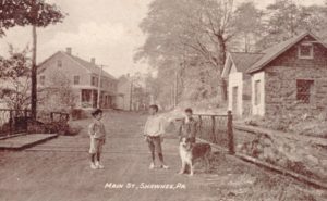 Historic Smithfield: a group of children with a dog in front of old homes