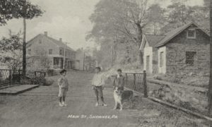 Historic Smithfield: a group of children with a dog in front of old homes