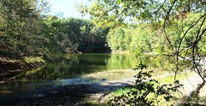 Mount Nebo Park: a pond surrounded by trees