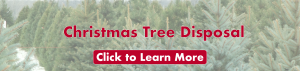 Christmas Tree Disposal -- Click to learn more.